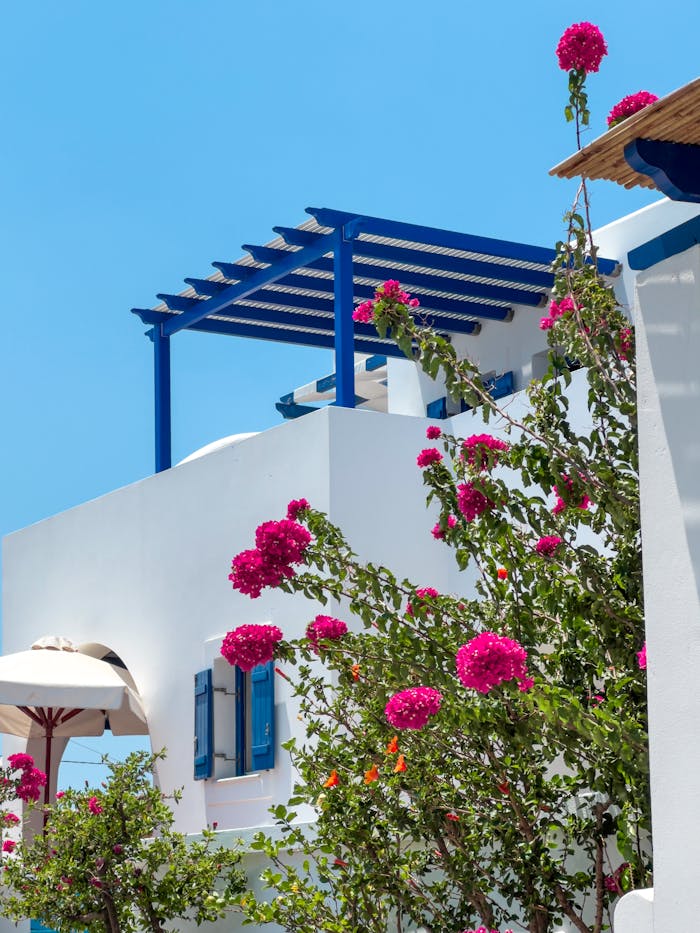 Bright bougainvillea against traditional white Greek architecture under a clear blue sky.