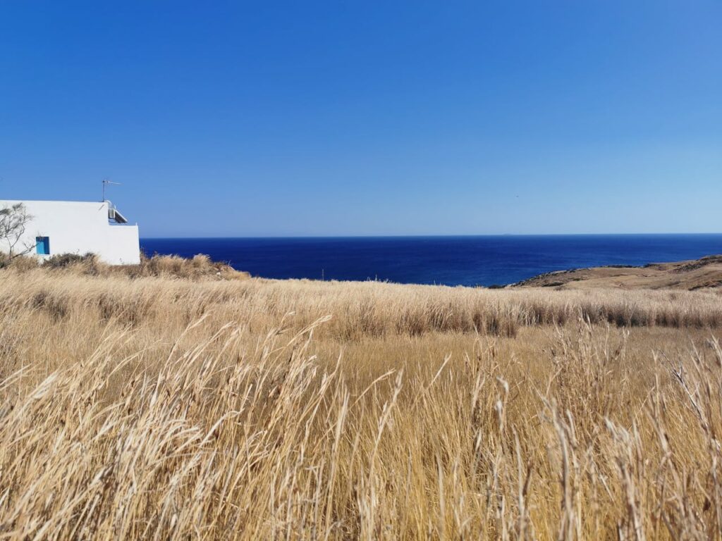 Stunning coastal scenery on Milos island, Greece with blue waters and golden fields.